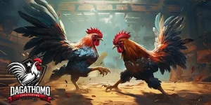Đá gà Thomo tại nhà cái 789p – Trải nghiệm đỉnh cao và niềm vui